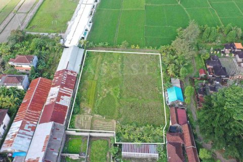 Land in Ubud, Gianyar, Indonesia No. 4267