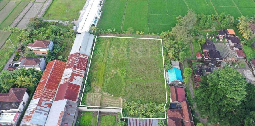 Land in Ubud, Gianyar, Indonesia No. 4267