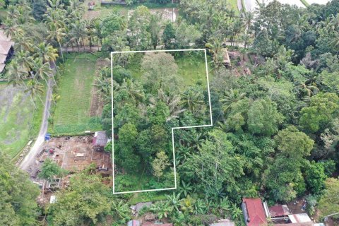 Land in Tegallalang, Gianyar, Indonesia No. 4263 1