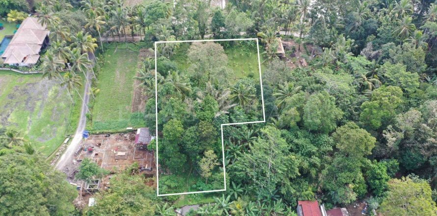 Land in Tegallalang, Gianyar, Indonesia No. 4263