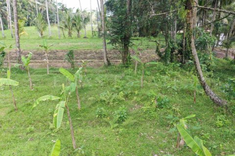 Land in Tegallalang, Gianyar, Indonesia No. 4263 4