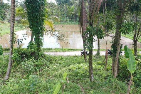 Land in Tegallalang, Gianyar, Indonesia No. 4263 3