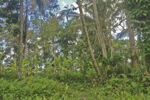 Land in Tegallalang, Gianyar, Indonesia No. 4263 2
