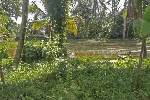 Land in Tegallalang, Gianyar, Indonesia No. 4263 5