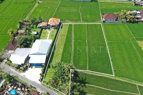 Land in Gianyar, Indonesia No. 4265 1