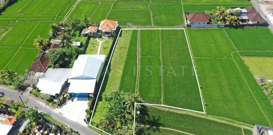 Land in Gianyar, Indonesia No. 4265