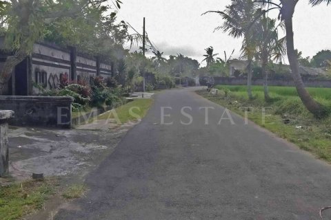 Land in Gianyar, Indonesia No. 4265 2