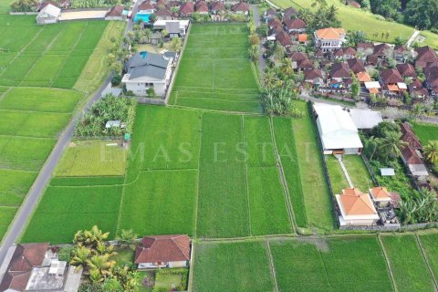Land in Gianyar, Indonesia No. 4265 3