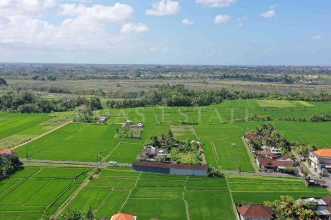 Land in Gianyar, Indonesia No. 4265 4