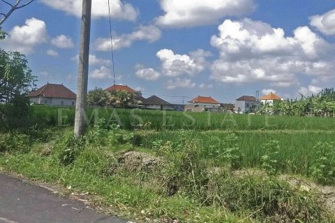 Land in Gianyar, Indonesia No. 4265 5