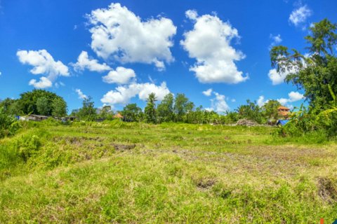 Land in Cepaka, Kediri, Tabanan, Indonesia No. 10688 11