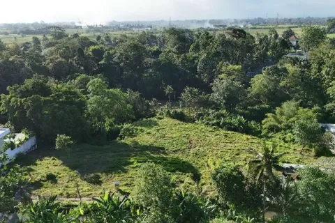 Land in Cepaka, Kediri, Tabanan, Indonesia No. 10688 6