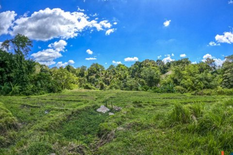 Land in Cepaka, Kediri, Tabanan, Indonesia No. 10688 9