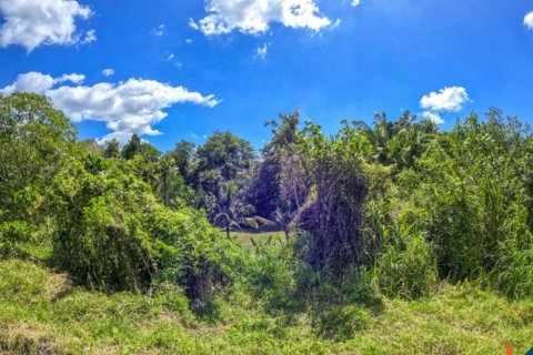 Land in Cepaka, Kediri, Tabanan, Indonesia No. 10688 10