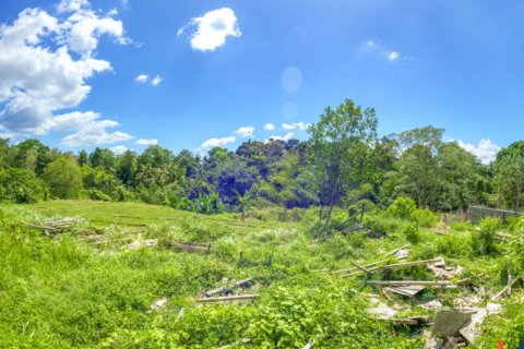 Land in Cepaka, Kediri, Tabanan, Indonesia No. 10688 7