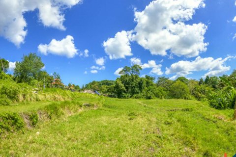 Land in Cepaka, Kediri, Tabanan, Indonesia No. 10688 8