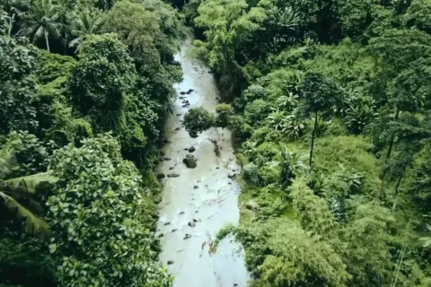 Land in Tabanan, Indonesia No. 10903 5