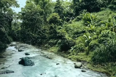 Land in Tabanan, Indonesia No. 10903 6