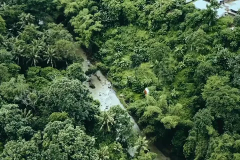 Land in Tabanan, Indonesia No. 10902