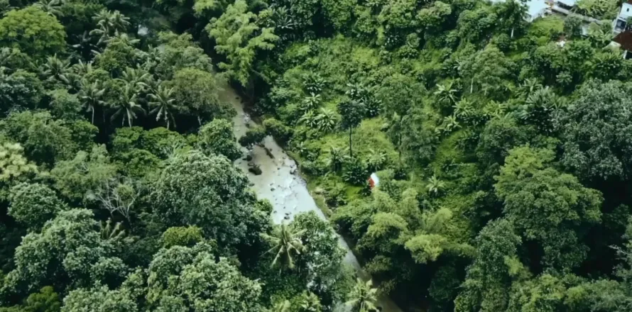 Land in Tabanan, Indonesia No. 10902