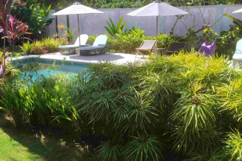 6 bedrooms Villa in South Kuta, Badung, Indonesia No. 8893 3