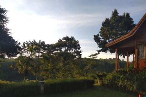 4 bedrooms Villa in Ubud, Gianyar, Indonesia No. 10385 11