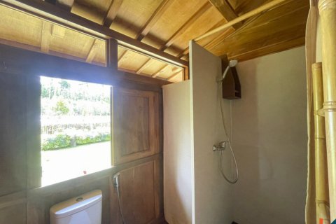 4 bedrooms Villa in Ubud, Gianyar, Indonesia No. 10385 18
