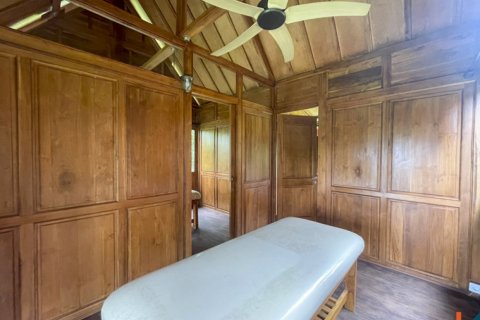4 bedrooms Villa in Ubud, Gianyar, Indonesia No. 10385 24