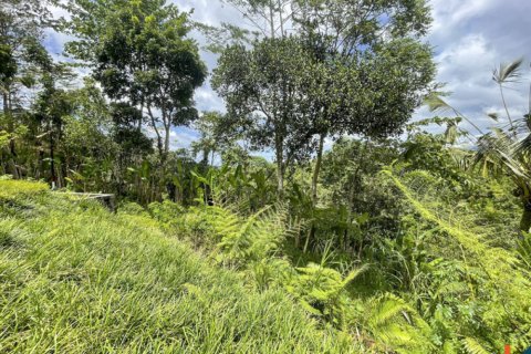4 bedrooms Villa in Ubud, Gianyar, Indonesia No. 10385 14