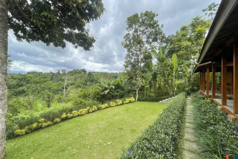 4 bedrooms Villa in Ubud, Gianyar, Indonesia No. 10385 19