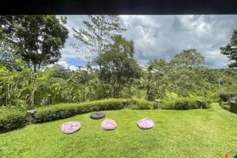 4 bedrooms Villa in Ubud, Gianyar, Indonesia No. 10385 21