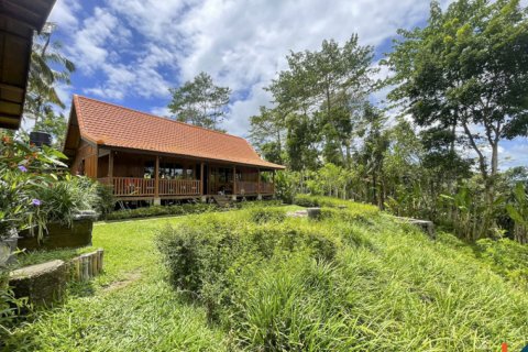 4 bedrooms Villa in Ubud, Gianyar, Indonesia No. 10385 13