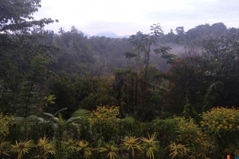 4 bedrooms Villa in Ubud, Gianyar, Indonesia No. 10385 12