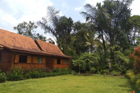 4 bedrooms Villa in Ubud, Gianyar, Indonesia No. 10385 9