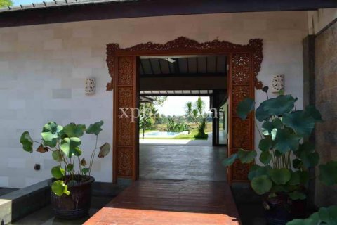 Вилла с 6 спальнями в Canggu, Бадунг, Индонезия № 483 3