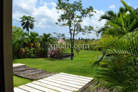 Вилла с 6 спальнями в Canggu, Бадунг, Индонезия № 482 5