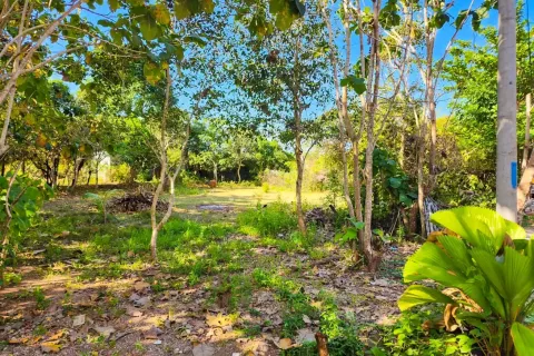 Land in Nusa Dua, Badung, Indonesia No. 13102 4