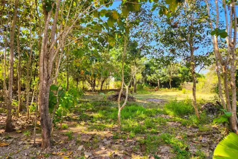 Land in Nusa Dua, Badung, Indonesia No. 13102 2