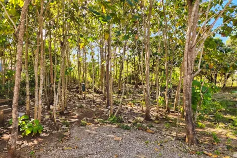 Land in Nusa Dua, Badung, Indonesia No. 13102 7