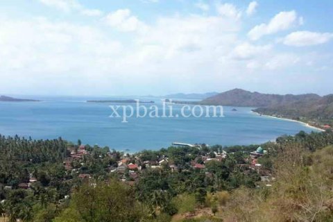 15000m2 Land in Indonesia No. 7920