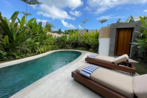 3 bedrooms Villa in Canggu, Badung, Indonesia No. 8506 3