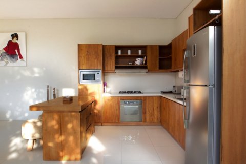 2 bedrooms Villa in Seminyak, Badung, Indonesia No. 1703 5