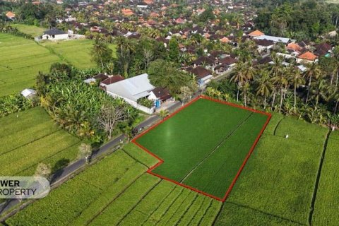 1650m2 Land in Tabanan, Indonesia No. 9533