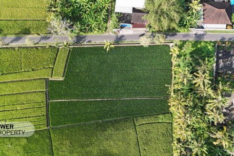 Земельный участок 1650м2 в Tabanan, Табанан, Индонезия № 9533 7