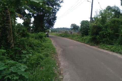 Land in Serang City, Indonesia No. 6229