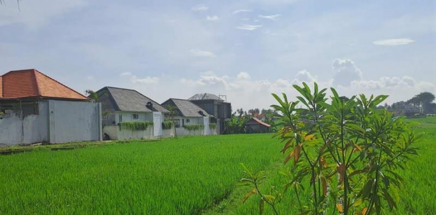 1000m2 Land in Cemagi, Mengwi, Badung, Indonesia No. 7727