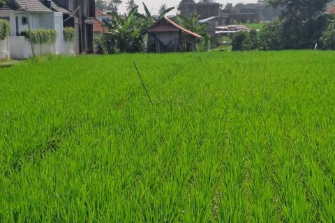 1000m2 Land in Cemagi, Mengwi, Badung, Indonesia No. 7727 4