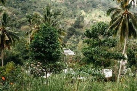 3 bedrooms Villa in Indonesia No. 7726 4