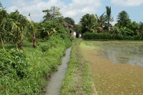 Land in Tabanan, Indonesia No. 11680