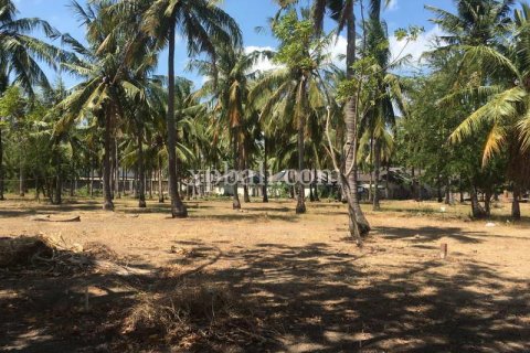 Земельный участок 8246м2 в Gili Trawangan, Гили-Индах, Северный Ломбок, Индонезия № 7862 4